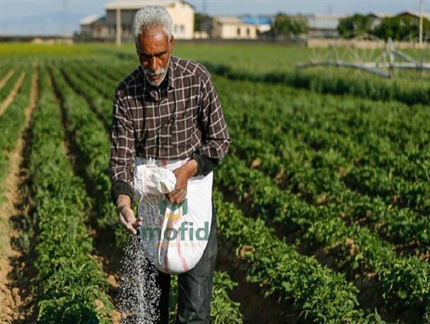 کودهای فسفاته