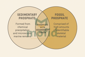 خاک فسفات فسیلی