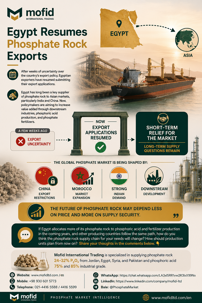 EGYPPT ROCK PHOSPHATE